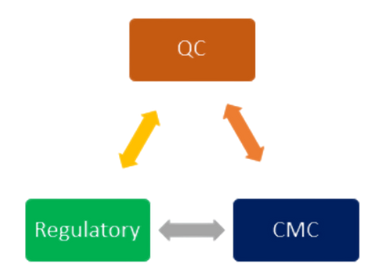 Diagram showing interaction between QC, Regulatory, and CMC with bidirectional arrows